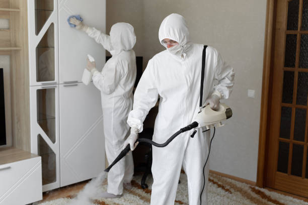 Mold Testing and Removal in Redway, CA